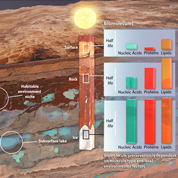 Probe analyzing compostion of sediment layers