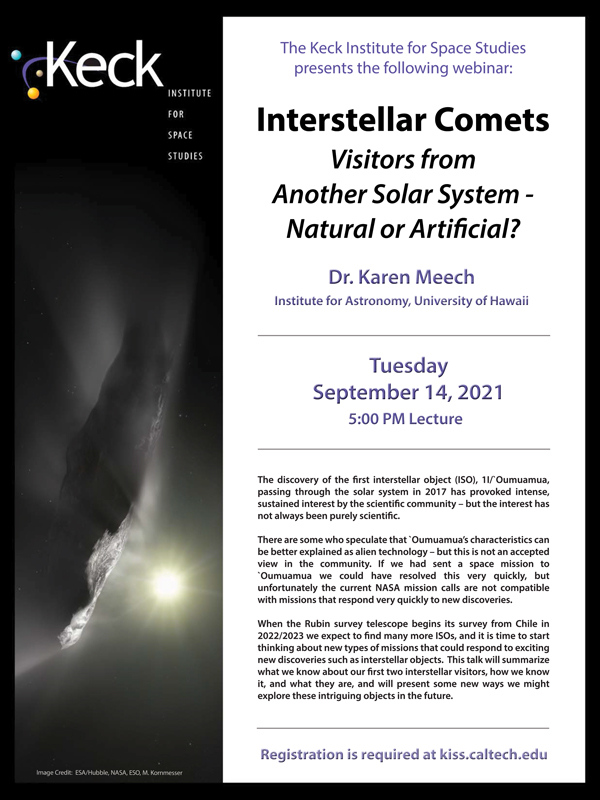 Interstellar Comets – Visitors from another Solar System – Natural or Artificial?

