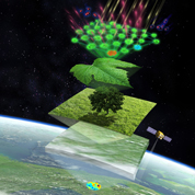 Illustration of measuring photosynthesis from space