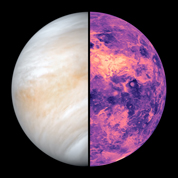 Venus radar image