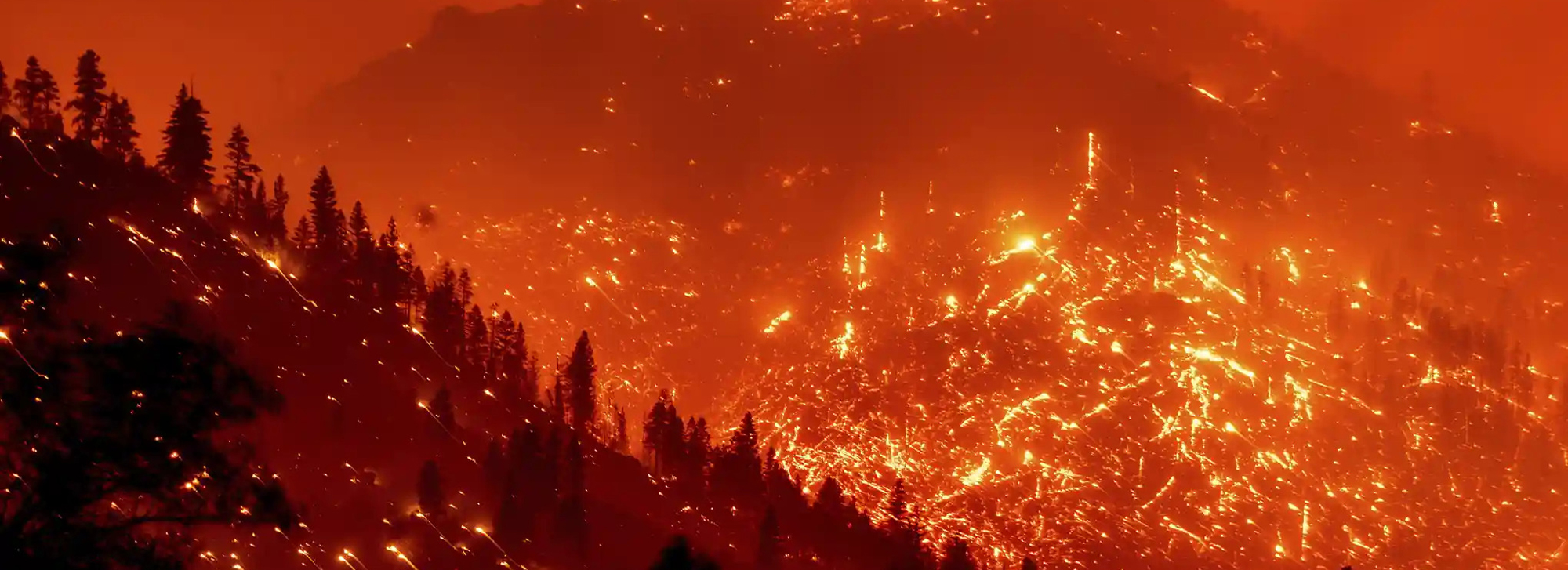 Image of forest woldfire