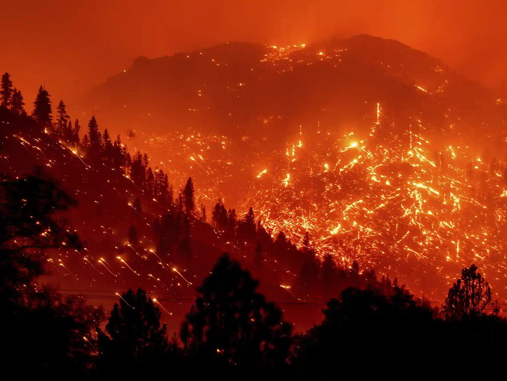 Photo of a forest wildfire