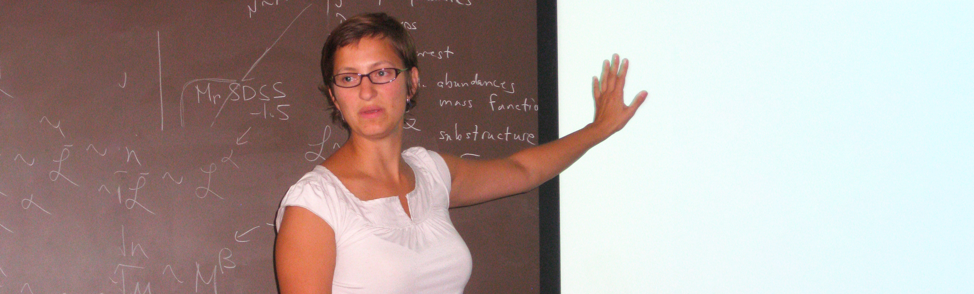 Shedding Light on the Nature of Dark Matter Workshop