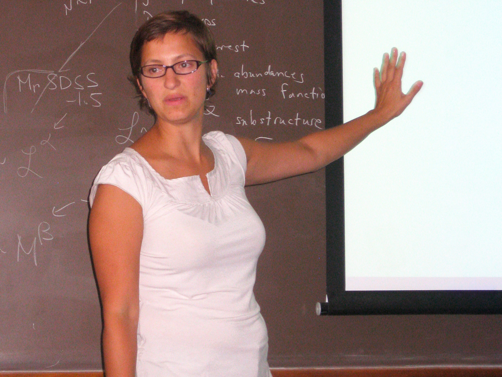 Shedding Light on the Nature of Dark Matter Workshop