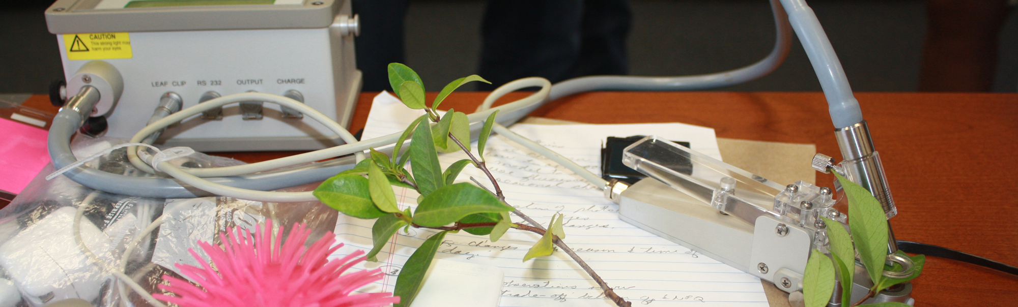 New Methods to Measure Photosynthesis from Space