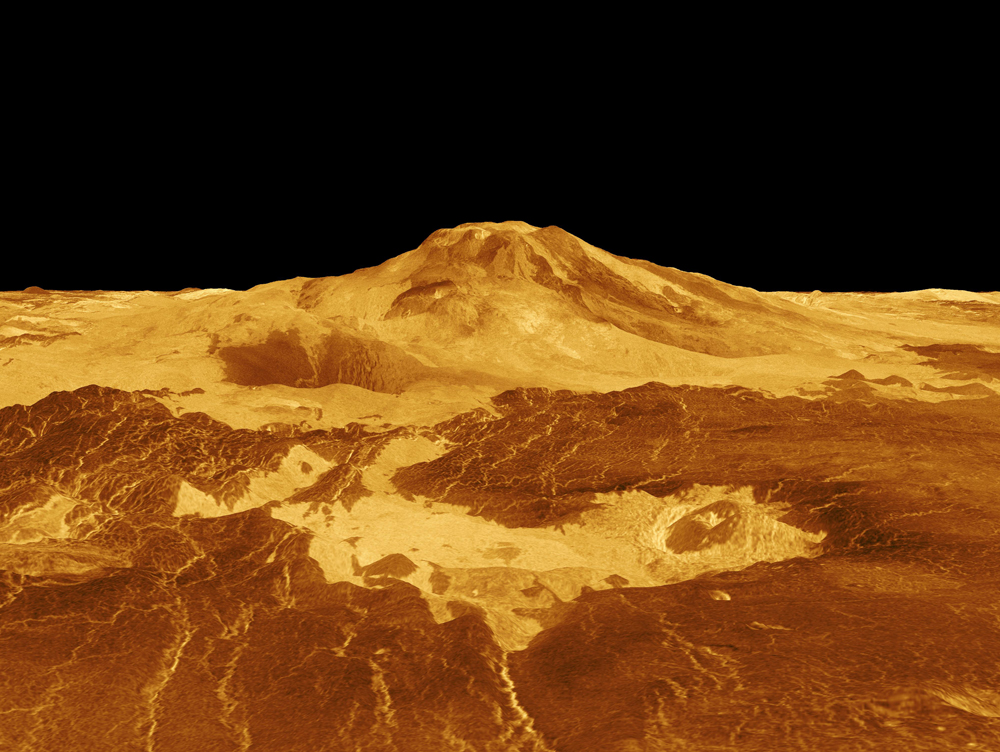 Venus Seismology